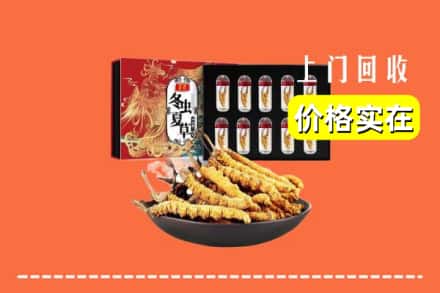金坛区回收冬虫夏草