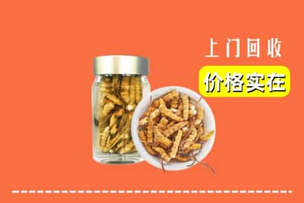 金坛区回收散虫草