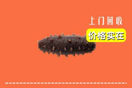 金坛区回收海参
