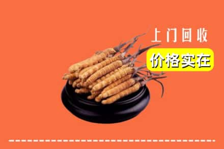 金坛区回收冬虫夏草