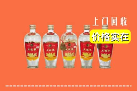 金坛区回收老五粮液
